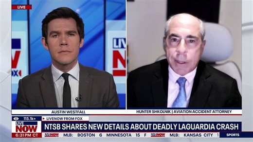 Aviation expert praises pilots after LaGuardia crash | Haystack News