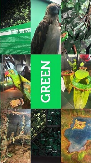 Color Hunting at the National Museum of Natural History