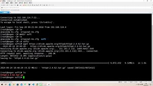 Linux系统安装Apache
