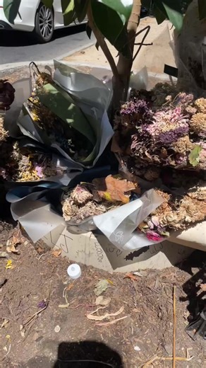 Long Live Jojo: Honoring a Misunderstood Soul