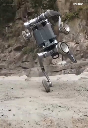 I mean at this point the robots will soon can do anything. #robot #mondayrobotics #Automation #robotics #futuretech