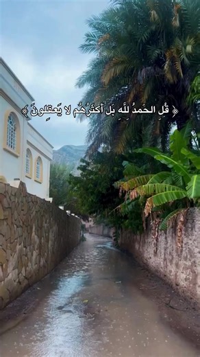 اقْرَؤُوا القُرْآنَ فإنَّه يَأْتي يَومَ القِيامَةِ شَفِيعًا لأَصْحابِهِ، اقْرَؤُوا الزَّهْراوَيْنِ البَقَرَةَ، وسُورَةَ آلِ عِمْرانَ، فإنَّهُما تَأْتِيانِ يَومَ القِيامَةِ كَأنَّهُما غَمامَتانِ، أوْ كَأنَّهُما غَيايَتانِ، أوْ كَأنَّهُما فِرْقانِ مِن طَيْرٍ صَوافَّ، تُحاجَّانِ عن أصْحابِهِما، اقْرَؤُوا سُورَةَ البَقَرَةِ، فإنَّ أخْذَها بَرَكَةٌ، وتَرْكَها حَسْرَةٌ، ولا تَسْتَطِيعُها البَطَلَةُ. قالَ مُعاوِيَةُ: بَلَغَنِي أنَّ البَطَلَةَ: السَّحَرَةُ. [وفي رواية]: غيرَ أنَّه قالَ: وكَأنَّهُما في ك