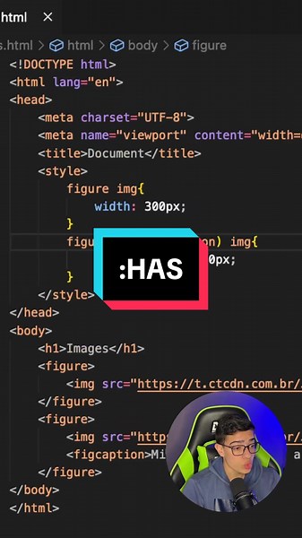 Técnica CSS :has para Estilizar Imagens