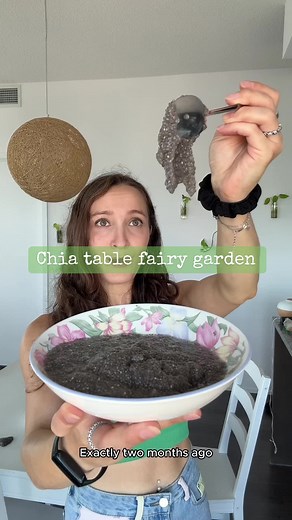 Create Your Own Chia Table Fairy Garden