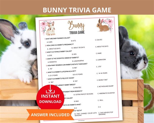 Bunny Trivia Game,easter Trivia Game,spring Quiz,spring Rabbit Trivia,bunny Facts Game,easter Icebreaker,easter Activity,easter Family Fun - Etsy
