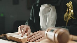 Free Legal Videos: 4K & HD | No Watermark | Download Now