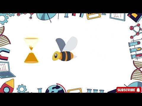 🧠 4th Grade Math Bee | 20 Fun Multiple Choice Questions with Answers | Math Quiz for Kids