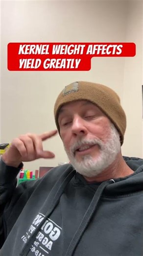 Part 2 on weight of corn and yield difference #corn #johndeere #farming #dekalb