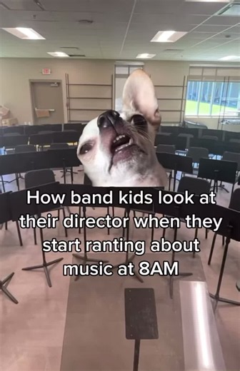 Funny Band Moments and Competitors