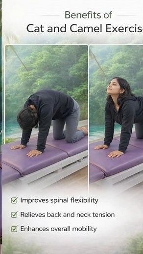 Cat and Camel Exercise for Spine Flexibility Back Pain Relief & Posture Correction #physiotherapist