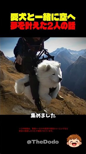 愛犬と主人だけの愛のフライト