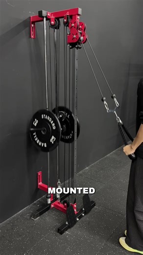I love my wall mounted pulley #mikologym #homegymequipment #mikolo #wallmountedpulley