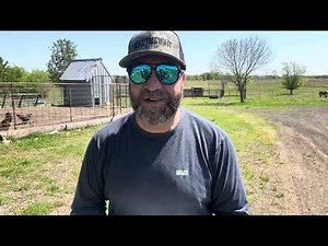 Sandblasting A Horse Trailer | Discover the Power of Bison Blasting Sandblasting!