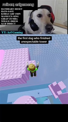 The First Dog to Finish Unexpectable Tower