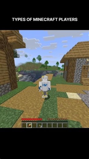 TYPES OF MINECRAFT PLAYER [every SMP has this]