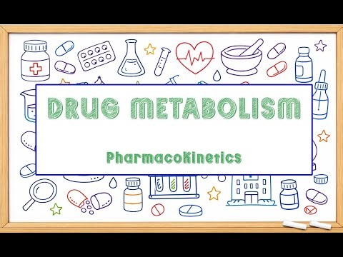 Drug Metabolism in Pharmacokinetics | Phase I & II, Enzyme Induction & Inhibition