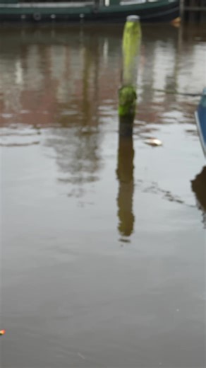 Angeln mit köderfisch auf Hecht. Ausschnitte #angeln #fyp #natur
