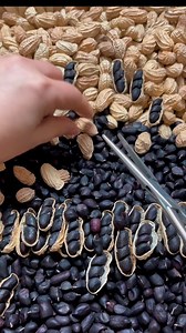 2.8K views | Black Nuts? 樂 | Nature View | Facebook