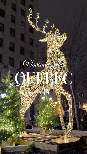 Magical vibes at Quebec City. 🎄✨🌟 #quebeccity #christmasdecor #christmasvibes