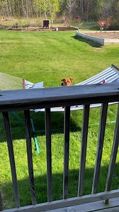 928K views · 10K reactions | Frowback time! | Tatum Talks | Facebook