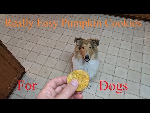 DIY Pumpkin Cookies For Dogs! Very Easy!