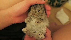 141K views · 4.9K reactions | Love. Want. Need. Him.  | boohoo.com | Facebook