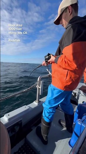 Rockfish Deep Drop Morro Bay California.