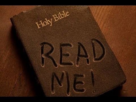 What The Bible Says About Dogs