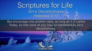 27 reactions | Scriptures for Life | Sin's Deceitfulness Daily devotion for December 6 (2 min) Encourage a friend and share Hebrews 3:13 But encourage one another daily, as long as it is called Today, so that none of you may be hardened by sin’s deceitfulness. | TorahFamily.org | Facebook