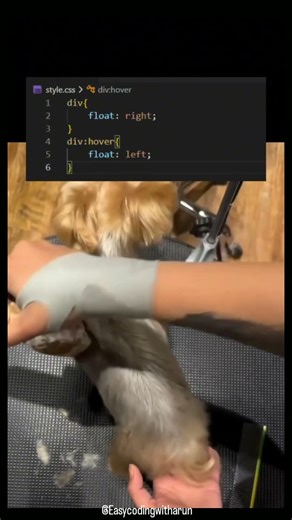 CSS float left and right #shortsfeed #shorts #trendingshorts #trending #growth #grow #css #css3