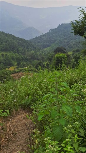 alaka (@base_alkali)’s videos with original sound - Relatable.rhyme🪐