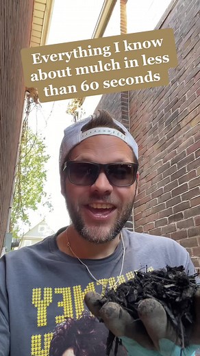 Everything I know about mulch in less than 60 seconds. As always, consult your local garden centre with help selecting the right mulch for your garden. #mulch #mulching #mulchlife #gardeningtips #gardening101 #gardentok #gardeningtiktok #beginnergardener #gardeningforbeginners