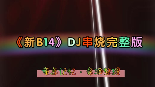 《新B14》DJ串烧完整版-有钱也买不到的经典DJ串烧
