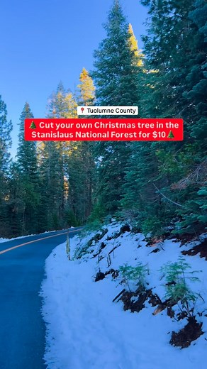 1.2K reactions · 80 comments |  Christmas tree permits for The...