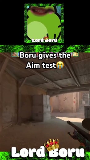 Boru gives the Aim test😭 #csgo #counterstrike #memes #shorts