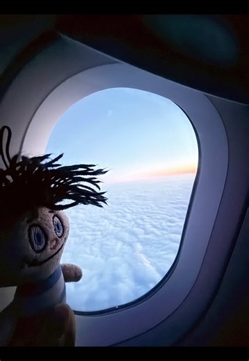 Amazing Surprise with SAS - Scandinavian Airlines ✈️💕