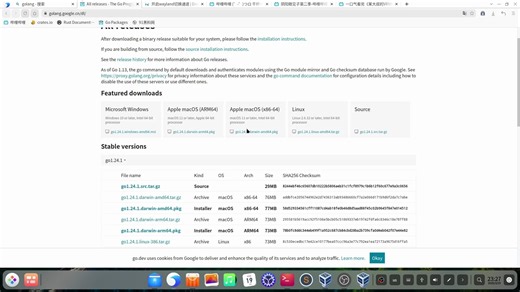 deepin20手动安装 golang手动安装