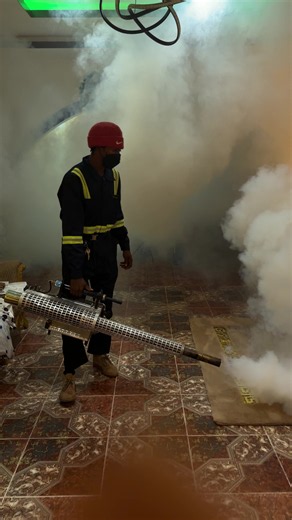 Professional Cockroach Fumigation Services for Home & Business