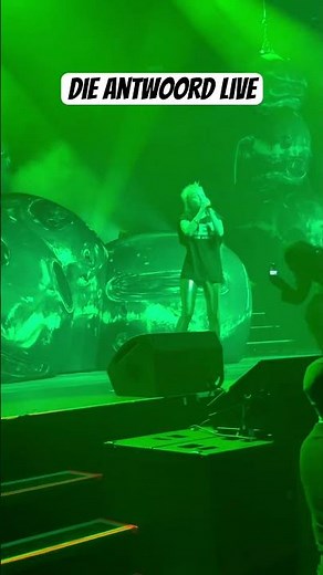 Die Antwoord live! I want to be a hippie