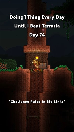 OneThingEverydayTerraria on Instagram: "Day 74 of Doing ONE Thing EVERY DAY Until I Beat Terraria #terraria #onethingaday #challange #foryou"