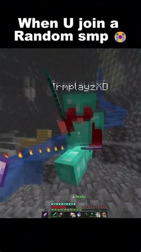 When you Join a Random Minecraft SMP 🔥