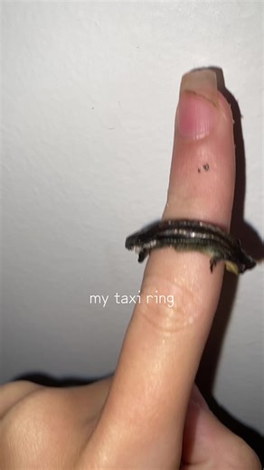 Creative Taxidermy: DIY Skink Ring Making