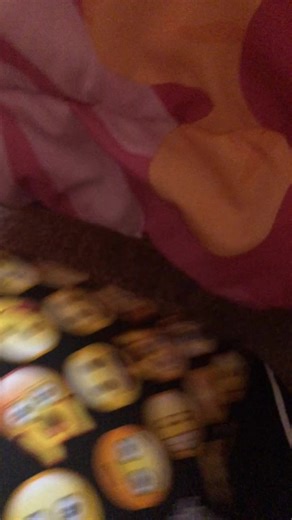 training my hamster patches takes 5-6 months to complete training) can i make friends #hamsters #foryoupage