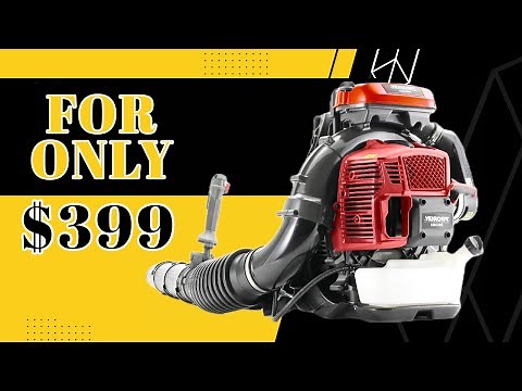 PRORUN PBB2884 BACKPACK LEAF BLOWER REVIEW | Under $399