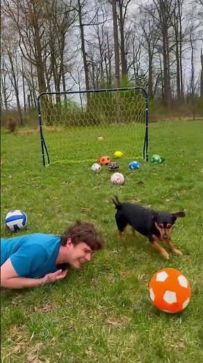 Move over, Cristiano. Ronaldo the pup is ready for the World Cup.