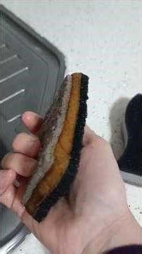 🥇 Market Süngerleri 7 Gün Yaşar… Bu Sünger 30 Günden fazla! Bilgi için WhatsApp 0542 231 0095