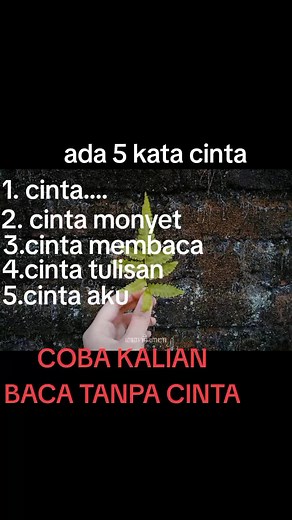 .fadya _nayu on TikTok