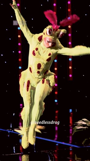 What I Love About Drag: A Celebration of Expression