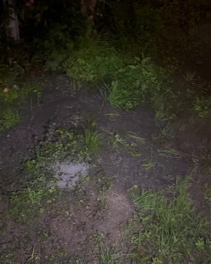 There is a busted water main (second time in one year) that I reported a month ago and I’m afraid what’s gonna happen during the freeze. Houston Public Works can we get an update on this please? Case #: 20389848-2301147832 | HTX Media