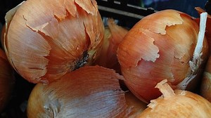 5 kitchen scraps you should never put down the garbage disposal